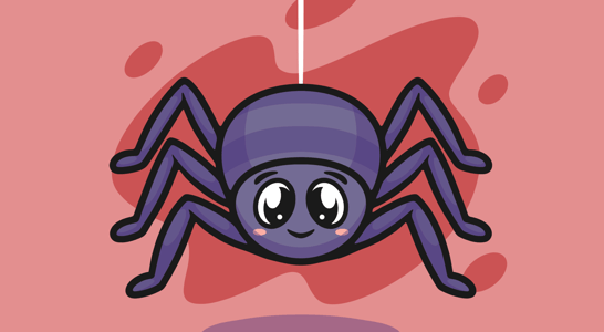 Save a Spider Day