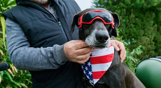 All-American Pet Photo Day