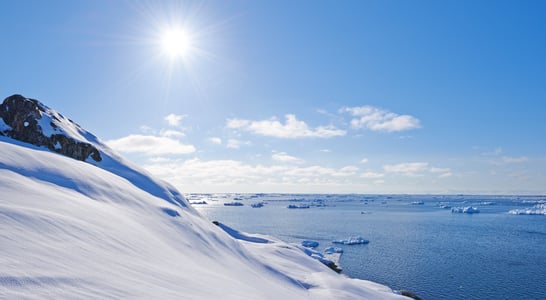 Antarctica Day