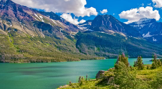 National Montana Day