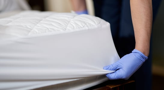 National Bed Bug Prevention Day
