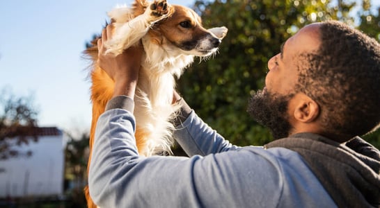 Bond With Your Dog Day