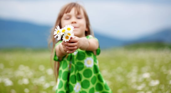 Bring Flowers To Someone Day