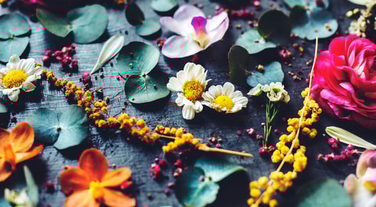 Flower Day