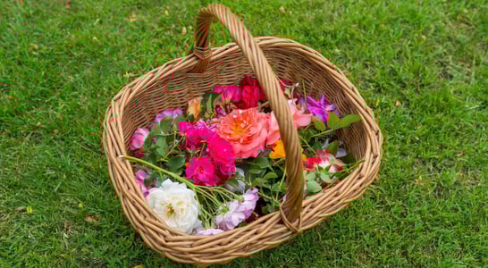 Free Flower Basket Day