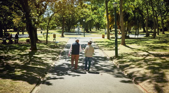 National Walk to a Park Day