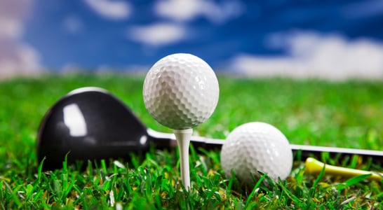 National Mulligan Day