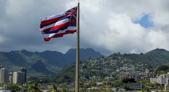 Hawaii Flag Day