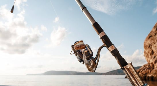 International Day For The Fight Against Illegal Unreported And Unregulated Fishing