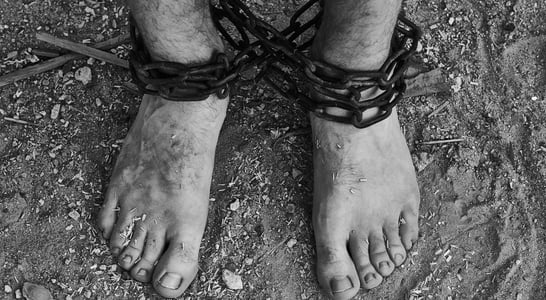 International Day in Support of Victims of Torture