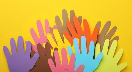 International Race Relations Day