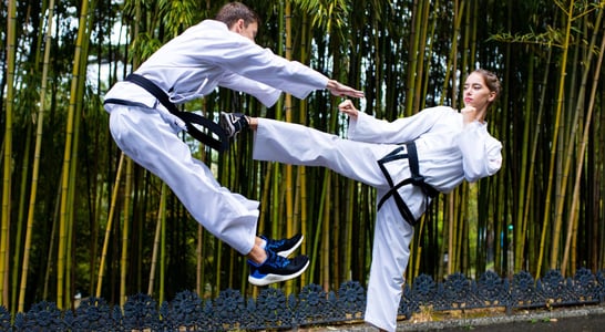 International Taekwondo Day