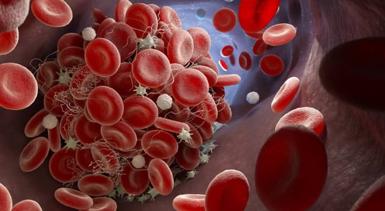 International Thalassaemia Day