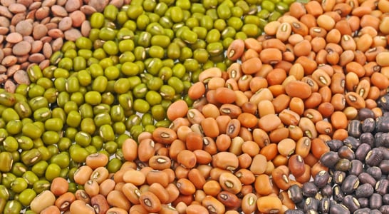 International Year of Pulses