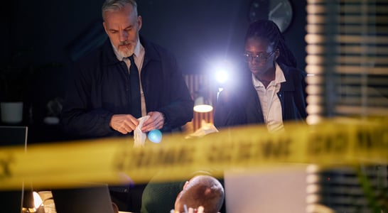 National Crime Junkie Day