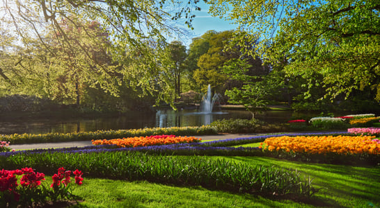 National Public Gardens Week