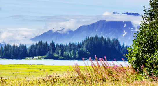 National Alaska Day