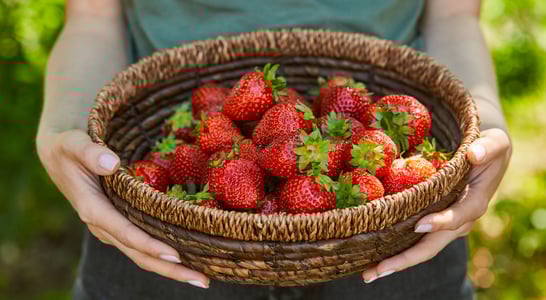 National California Strawberry Day