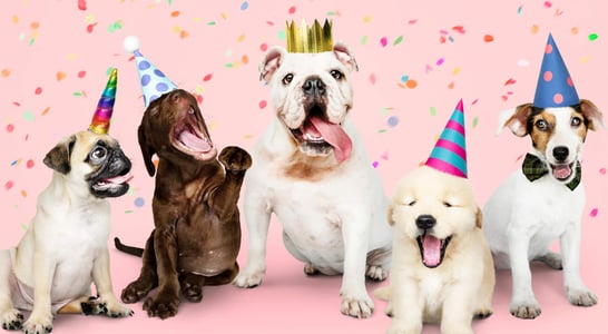 National Dog Party Day