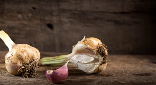 National Garlic Month