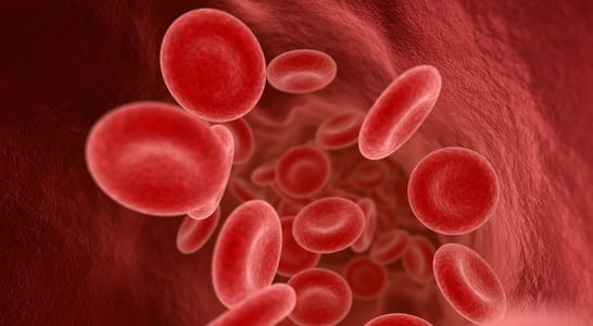 National Lipid Day