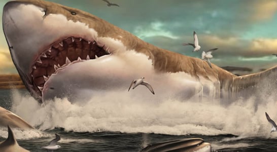 National Megalodon Day
