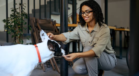 National Pet Care for All Day