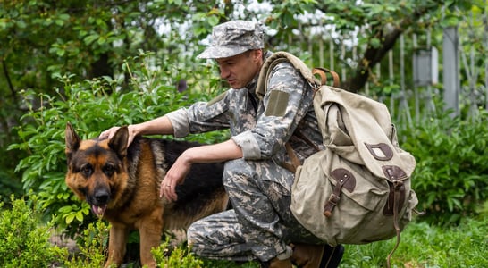 National Pets for Veterans Day