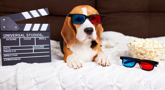 National Pets in Film Day