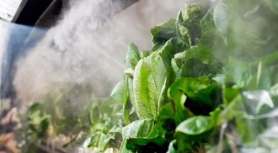 National Produce Misting Day