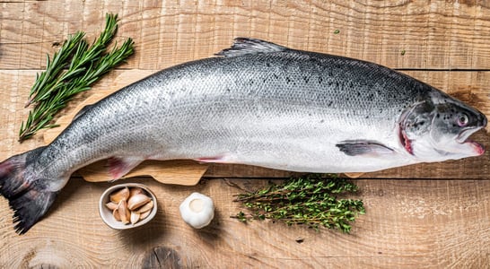 National Salmon Day