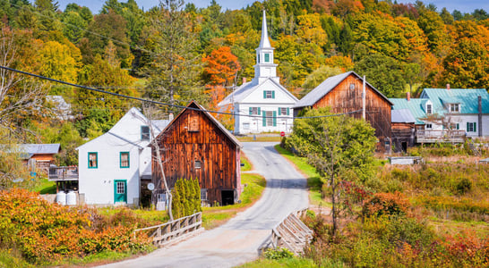 National Vermont Day
