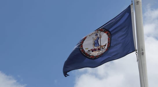 National Virginia Day