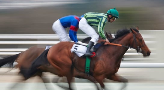 Palio Horse Race in Siena