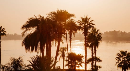 The Nile Festival