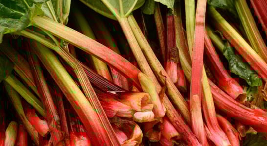 Rhubarb Month