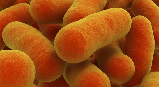 World Tuberculosis Day