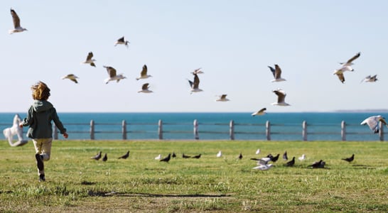 Urban National Wildlife Refuge Day