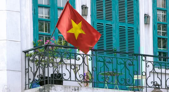 Vietnam Peace Day