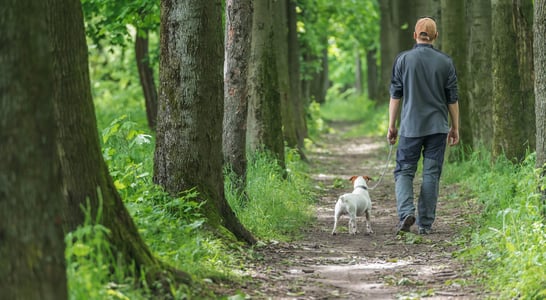 Walk Your Dog Week