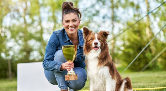 Westminster Dog Show