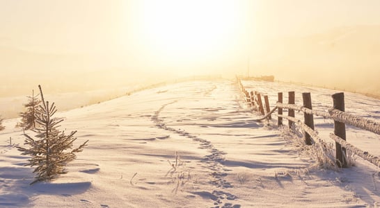 Winter Solstice