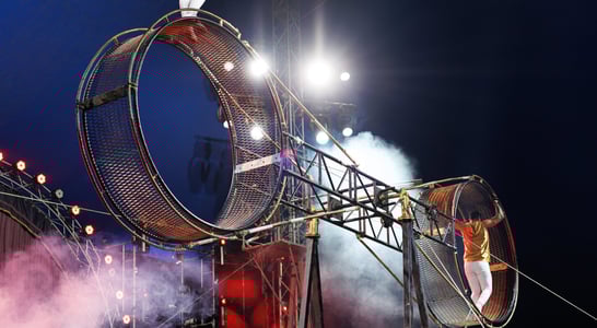 World Circus Day
