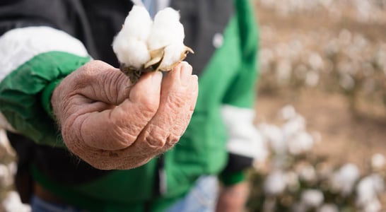 World Cotton Day