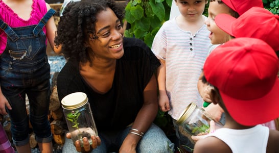 World Environmental Education Day