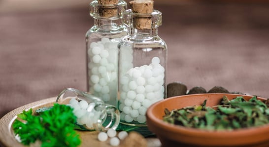 World Homeopathy Day