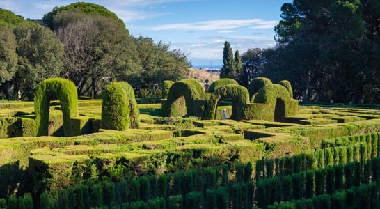 World Topiary Day