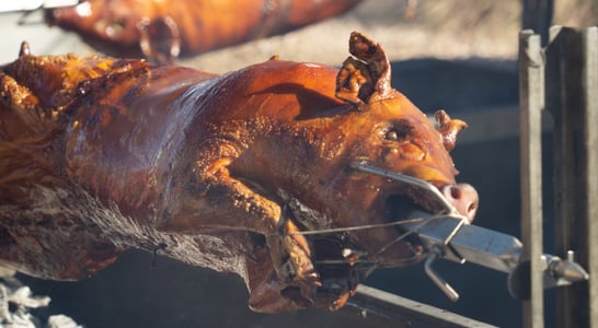 ​National Whole Hog Barbecue Day