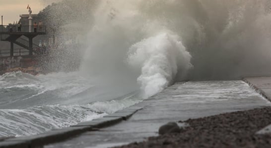 ​World Tsunami Awareness Day