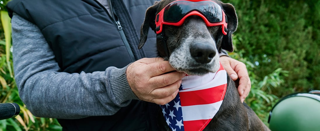 All-American Pet Photo Day